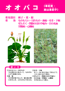 展示カラーポスター2